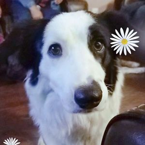 Meet your Posher, Natalia